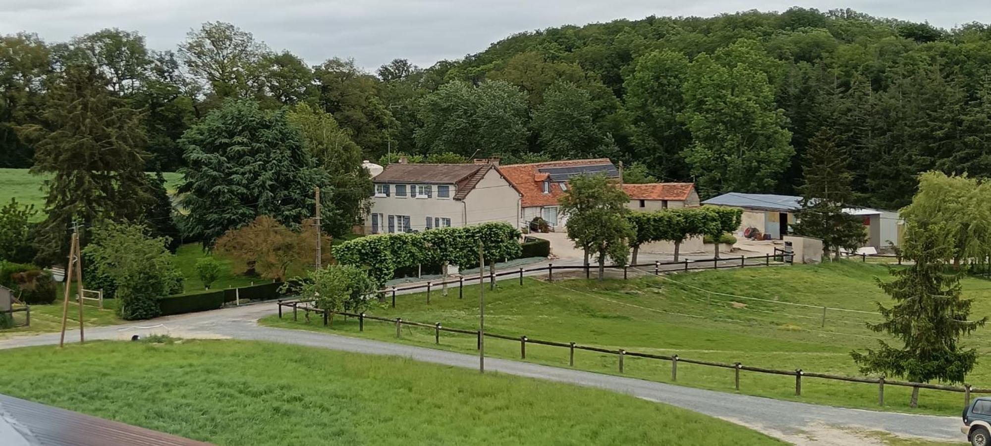 La Ferme Des Bigornes Otel Châtillon-sur-Indre Dış mekan fotoğraf