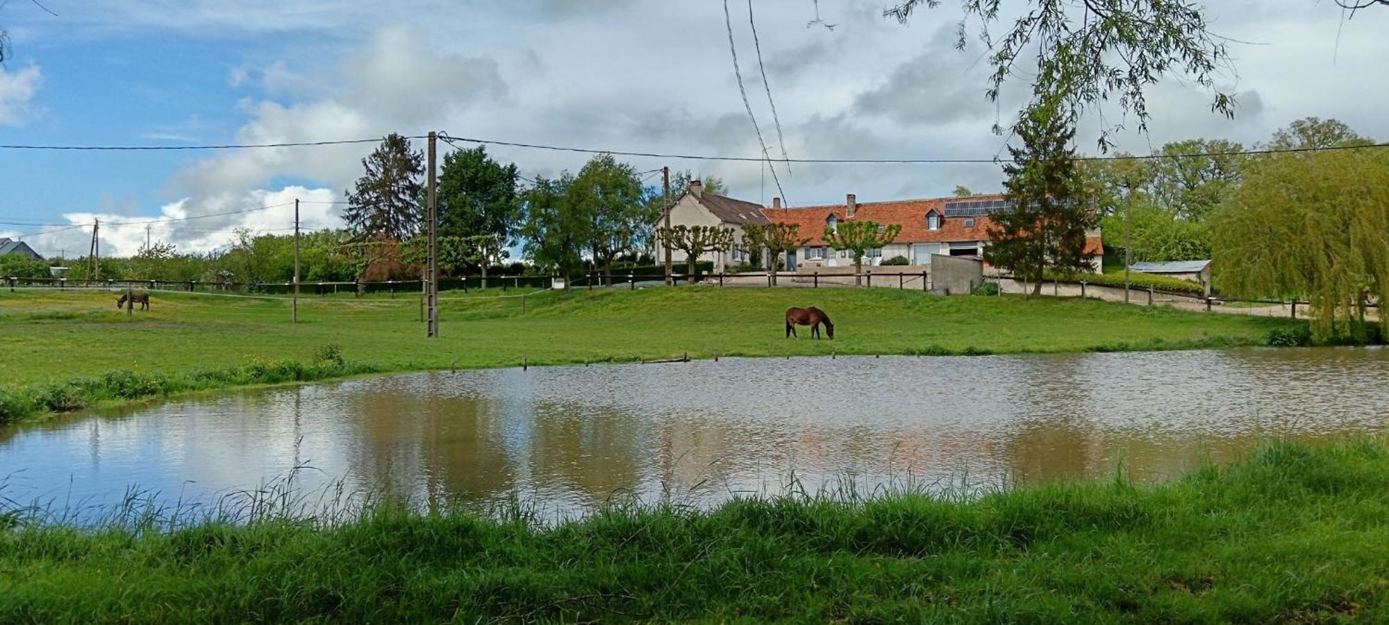 La Ferme Des Bigornes Otel Châtillon-sur-Indre Dış mekan fotoğraf